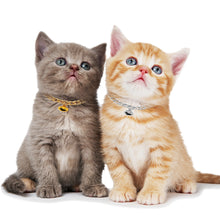 Load image into Gallery viewer, 1pc Chic Pet Collar Fashion Bell Decor Aluminum Dog Cat Collar Pet Necklace Jewelry Photograph Props Accessories Pet Supplies