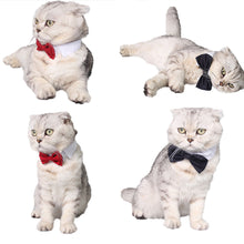 Load image into Gallery viewer, Adjustable Pet Cat Bow Tie Pet Neck Tie Costume Formal Dog Collar for Dogs and Cats Pet Accessories for Photo Props Wedding Party Gift