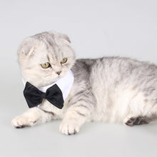 Load image into Gallery viewer, Adjustable Pet Cat Bow Tie Pet Neck Tie Costume Formal Dog Collar for Dogs and Cats Pet Accessories for Photo Props Wedding Party Gift
