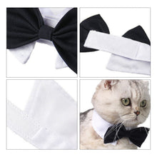 Load image into Gallery viewer, Adjustable Pet Cat Bow Tie Pet Neck Tie Costume Formal Dog Collar for Dogs and Cats Pet Accessories for Photo Props Wedding Party Gift