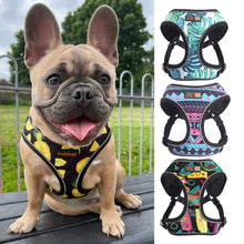 Load image into Gallery viewer, Cute Reflective Small Dog Cat Harness Vest Print Puppy Cat Harness Mesh Harness for Small Dogs Cat