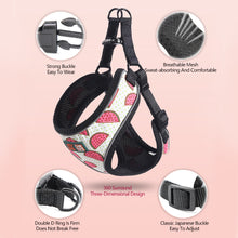 Load image into Gallery viewer, Cute Reflective Small Dog Cat Harness Vest Print Puppy Cat Harness Mesh Harness for Small Dogs Cat