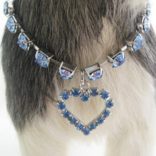 Load image into Gallery viewer, Pet Cat Jewelry Tiara Crown Hair Clip Necklace for Small Dogs Crystal Rhinestone Girls Barrette Grooming Hair Accessories