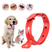 Load image into Gallery viewer, Adjustable Pet Dog Antiparasitic Collar Dog Anti Flea And Tick Collar Cat Mosquitoe Repellent Pet Collar Cat Lice Collars Deworming Collars Supplies