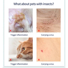 Load image into Gallery viewer, 15/19inch Pet Antiparasitic Collar Anti Flea Tick Mite Lice Repellent Dog Cat Collar Deworming Collar Supplies 2 Years Shelf Life