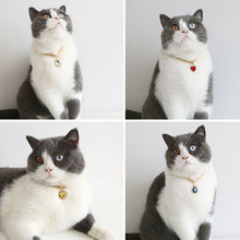 Load image into Gallery viewer, Heart Shape Diamond Inlaid Pet Cat Collar Pets Shiny Crystal Collars Footprints Accessories For Kitten Dog Collar Cat Necklace