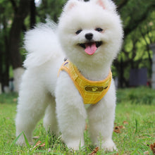Load image into Gallery viewer, 1Pcs Dog Soft Adjustable Harness Pet Cat Walk Out Harness Vest Collar Hand Strap for Small Medium Large Dogs