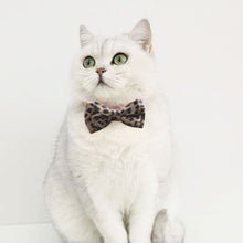 Load image into Gallery viewer, Leopard Print Bowknot Cat Collar Adjustable Buckle Kitty Breakaway Bow Tie with Bells Puppy Chihuahua Small Dogs Collars Pets Supplies