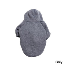 Load image into Gallery viewer, Autumn and Winter Puppy Hoodie Clothing Cat Sweater T Shirt Without Pocket Big Dog Sport Shirt Pet Vest Pet Clothes