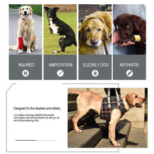 Load image into Gallery viewer, Dog Support Harness for Front and Rear Legs Lifting Adjustable Rehabilitation Vest for Old Dogs with Disabilities Pet Supplies