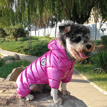 Load image into Gallery viewer, Dog Jumpsuit Winter Waterproof Pet Puppy Dog Coat Dog Jacket Clothing For Small Medium Dogs Chihuahua Yorkshire Pug