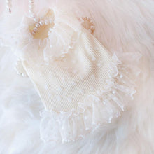 Load image into Gallery viewer, Spring Summer Dog Cat Princess Dress Pet Lace Skirts Pet Clothes Comfortable Soft Puppuy Dogs Cats Dress Pet Clothes