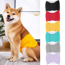 Load image into Gallery viewer, Dog Diaper Physiological Pants Waterproof Sanitary Washable Male Dog Menstrual Panties Shorts Underwear Briefs Large Dogs Belt