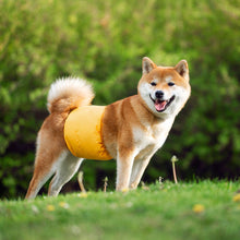 Load image into Gallery viewer, Dog Diaper Physiological Pants Waterproof Sanitary Washable Male Dog Menstrual Panties Shorts Underwear Briefs Large Dogs Belt