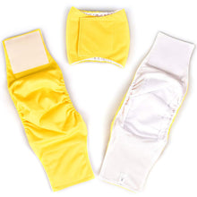 Load image into Gallery viewer, Dog Diaper Physiological Pants Waterproof Sanitary Washable Male Dog Menstrual Panties Shorts Underwear Briefs Large Dogs Belt