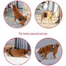 Load image into Gallery viewer, Dog Diaper Physiological Pants Waterproof Sanitary Washable Male Dog Menstrual Panties Shorts Underwear Briefs Large Dogs Belt