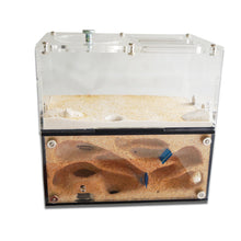 Load image into Gallery viewer, Acrylic Ant Farm Spliceable Ant Nest Concrete Ant House with Intelligence Infinite Expansion Insect House Ants Colony Anthill Pet Workshop Kit Accessories