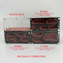 Load image into Gallery viewer, Acrylic Ant Farm Spliceable Ant Nest Concrete Ant House with Intelligence Infinite Expansion Insect House Ants Colony Anthill Pet Workshop Kit Accessories