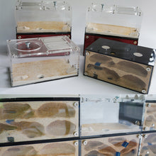 Load image into Gallery viewer, Acrylic Ant Farm Spliceable Ant Nest Concrete Ant House with Intelligence Infinite Expansion Insect House Ants Colony Anthill Pet Workshop Kit Accessories