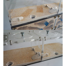 Load image into Gallery viewer, Acrylic Ant Farm Spliceable Ant Nest Concrete Ant House with Intelligence Infinite Expansion Insect House Ants Colony Anthill Pet Workshop Kit Accessories