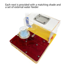 Load image into Gallery viewer, T Design DIY Acryl Flat 3D Ant Farm Ant Nest with Feeding Area Ant House Insect Villa Pet Anthill Workshop with Moisturizing Water Tower 12*15*7.5cm