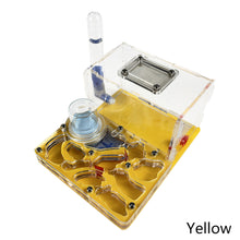 Load image into Gallery viewer, T Design DIY Acryl Flat 3D Ant Farm Ant Nest with Feeding Area Ant House Insect Villa Pet Anthill Workshop with Moisturizing Water Tower 12*15*7.5cm