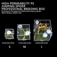 Load image into Gallery viewer, 1set Insect Breathable Terrarium Ant Farm Water Feeder Black Widow Spider Small Insect Terrarium Transparent Reptile Breeding Box Acrylic Assembled Eco Box