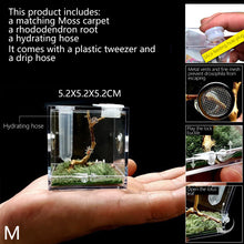 Load image into Gallery viewer, 1set Insect Breathable Terrarium Ant Farm Water Feeder Black Widow Spider Small Insect Terrarium Transparent Reptile Breeding Box Acrylic Assembled Eco Box