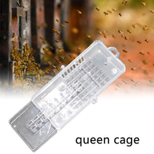 Load image into Gallery viewer, 10 Pcs Bee Equipment Wholesale Beekeeping Queen Cage Bee Keeping Transparent Queen House Insect Equipment Beehive Cut Honey Knife Bee Tools
