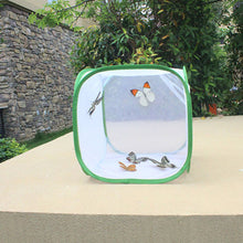 Load image into Gallery viewer, Green Collapsible Insect Cage Light Transmission Mesh Net Butterfly Habitat Cage Mantis Stick Grasshopper Seedling Insects Incubator Breeding Zipper Foldable Cages