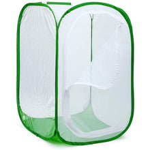Load image into Gallery viewer, Green Collapsible Insect Cage Light Transmission Mesh Net Butterfly Habitat Cage Mantis Stick Grasshopper Seedling Insects Incubator Breeding Zipper Foldable Cages