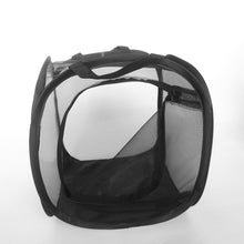 Load image into Gallery viewer, Butterfly Cage Black Insect Habitat Popup Collapsible Insect Mesh Cage Insect Proof Plant Greenhouse Box Mantis Stick Foldable Pop-up Insect Breeding Box