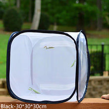 Load image into Gallery viewer, Butterfly Cage Black Insect Habitat Popup Collapsible Insect Mesh Cage Insect Proof Plant Greenhouse Box Mantis Stick Foldable Pop-up Insect Breeding Box