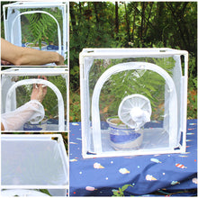 Load image into Gallery viewer, Butterfly Cage Insect Habitat Popup Collapsible Butterfly Mesh Cage Plant Greenhouse Box Insects Incubator Breeding Zipper Plant Animal Tent for Outdoor