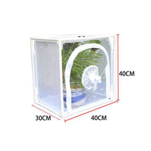 Load image into Gallery viewer, Butterfly Cage Insect Habitat Popup Collapsible Butterfly Mesh Cage Plant Greenhouse Box Insects Incubator Breeding Zipper Plant Animal Tent for Outdoor