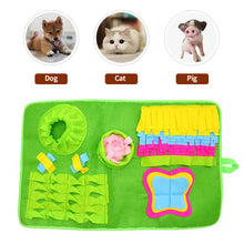 Load image into Gallery viewer, 70x43cm Dogs Snuffle Mat Pet Leak Food Anti Choking Mat Cat Dog Training Blanket Nose Work Toy Pet Slowing Feeding Intelligence Mat