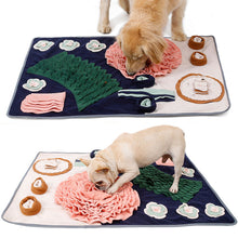 Load image into Gallery viewer, Pet Snuffle Mat Pet Slow Feeder Dispenser Treats Pad Mat IQ Training Sniffing Mat Anti Choking Cat Dog Training Blanket Nose Work Toy