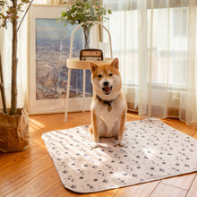 Load image into Gallery viewer, Waterproof Pet Dog Sofa Cover Reusable Dog Urine Pad Bed Mattress Cushion Pet Sleep Sofa Cage Diaper Blanket for Dog Cats