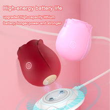 Load image into Gallery viewer, Rose Sucking Vibrators Nipple Sucker Clitoris Stimulation Powerful Vibrators Creative Sex Toys for Women Rose Vibator Sex Toy