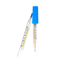 Load image into Gallery viewer, Body Temperature Measurement Thermometre Glass Mercury Thermometer Clinical Measurement Fever Temperature Meter