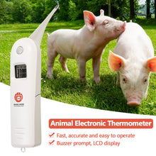 Load image into Gallery viewer, Professional Digital Animal Thermometer Pig Cow Sheep Thermometer Animals Electronic Thermometer Tools Veterinary Supplies