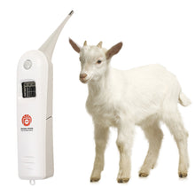 Load image into Gallery viewer, Professional Digital Animal Thermometer Pig Cow Sheep Thermometer Animals Electronic Thermometer Tools Veterinary Supplies