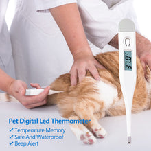 Load image into Gallery viewer, Digital Animal Thermometer Pet Dog Cat Thermometer Animals Electronic Thermometer Tools Veterinary Supplies