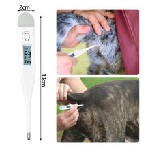 Load image into Gallery viewer, Digital Animal Thermometer Pet Dog Cat Thermometer Animals Electronic Thermometer Tools Veterinary Supplies