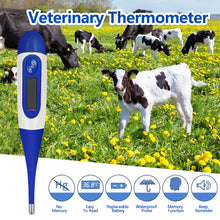 Load image into Gallery viewer, Digital Animal Thermometer Farm Pig Cow Sheep Thermometer Animals Electronic Thermometer Tools Veterinary Supplies