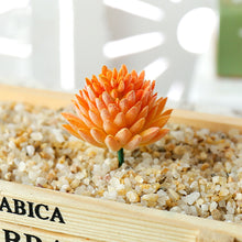 Load image into Gallery viewer, Lifelike Miniature Artificial Fleshy Cactus Plant Figurines Decoration DIY Fairy Garden Micro Landscape Potted Decor