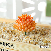 Load image into Gallery viewer, Lifelike Miniature Artificial Fleshy Cactus Plant Figurines Decoration DIY Fairy Garden Micro Landscape Potted Decor