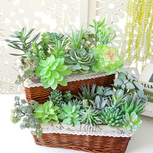 Load image into Gallery viewer, Lifelike Miniature Artificial Fleshy Cactus Plant Figurines Decoration DIY Fairy Garden Micro Landscape Potted Decor