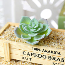 Load image into Gallery viewer, Lifelike Miniature Artificial Fleshy Cactus Plant Figurines Decoration DIY Fairy Garden Micro Landscape Potted Decor
