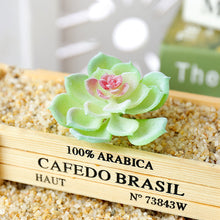 Load image into Gallery viewer, Lifelike Miniature Artificial Fleshy Cactus Plant Figurines Decoration DIY Fairy Garden Micro Landscape Potted Decor